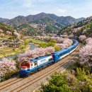 해랑 | 해랑열차 예약 방법 및 코레일 해랑열차 코스 가격 후기 포인트