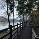 금지순환길 이미지