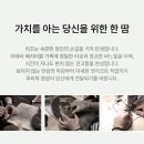 오토이지스
