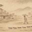 날씨속담254 &#34;개미가 이사하면 비가 온다.&#34;