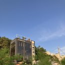 하늘애견 이미지