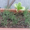 서울과학기술대학교앞 이미지