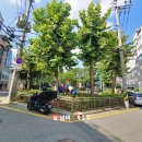 반포대로24길 42-23 이미지