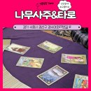 버스터미널 건너편 | 수원사주타로 수원버스터미널 건너편 신년운세 후기 나무사주타로