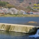 적량주유소 이미지