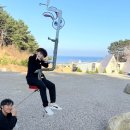 경북 영덕 힐링 가족여행 숙소 달토풀빌라글램핑