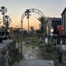 하이까미 이미지