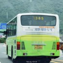 상남동221 이미지