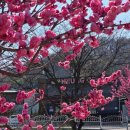 시골길 | 김천 오봉저수지 맛집 | 능금카페 등심돈까스 후기｜시골길 들어갔다가 제대로 찾은 곳