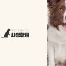 사랑할개 - 고양시 일산동구 위시티로 25 | 사랑할개