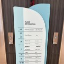 커피먹는 북극곰 | 북극곰축제 숙소 추천 해운대 가족숙소로 좋은 가성비 광수호텔 코너 패밀리 트윈 시티