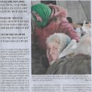 평화기획 이미지