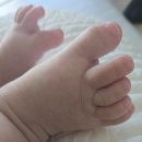 테이큰스시 | 블챌 일상(노브랜드 추천제품, 교통사고, 스시심타카이, 데이베드 밀리엔스vs안데르센)