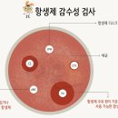 이든 동물의료센터 이미지