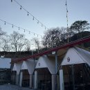 옥천로 | 대전 야외바베큐 모닥303 애견동반 글램핑 감성 고깃집 후기