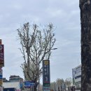 지하철 아양교역 | 대구 동구 사주 정말 잘 보는 곳 ‘길상철학작명원’ 후기