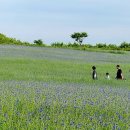 삼천리목장 이미지