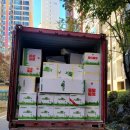 대세메디케어 이미지