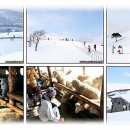 해밀목장 이미지