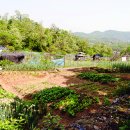 ㈜하이랜드 이미지