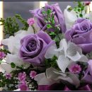 컴누리정보 이미지