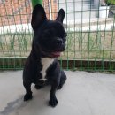 송산2길 이미지