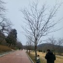 곡성-250 | 전북 고창 선운사 아이랑 다녀온 후기 🌿 계곡 물소리 힐링 여행 (무료입장·무료주차)