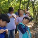 학장지역아동센터 이미지