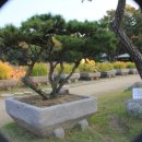 너른마당 이미지