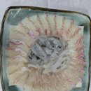 부산실내바다낚시터 이미지