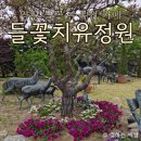 양평 카페 들꽃 수목원, 들꽃치유정원 솔직 후기