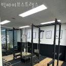 빅파이브 스트렝스 이미지
