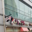 오늘DOG예쁨 이미지