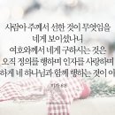 미가 티스토리