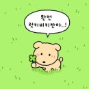 캑티 가챠샵(CACTI GACHA SHOP) 종각점 이미지