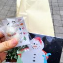 위드유 펫 스토어 | 부평 평리단길 소품샵 위드유상점 위드유스토어 내돈내산 후기