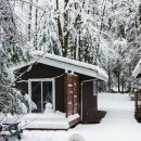 데일리도그(DAILY DOG) | <밴쿠버 여행>스쿼미시 썬울프 숙소 후기 | 크리스마스에 다시 찾은 도그 프렌들리 숙소