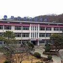한국펫고등학교 이미지