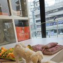 에르멍스 이미지