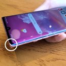 오로라핑크 이미지