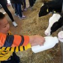 미주목장 이미지