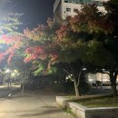 UR(광주광역시)-[문화소통로]-하-1 | 방학일기,,,2