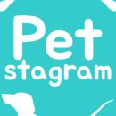 클릭 덴탈 이미지