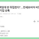 하인스개발