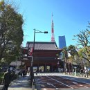 카페테라(Cafe tera) | 도쿄타워뷰 카페 테라카페 조죠지사원 Tera cafe zojo ji 야외테라스 테린느 디저트