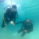 함덕스쿠버다이빙 이미지