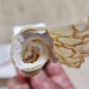 씨유 현대프라임점 | 씨유 신제품 매일우유 커스터드 크레이프 씨유 신상 케이크