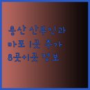 유명숙산부인과의원 이미지