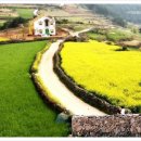 슬로시티청산도 이미지