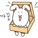 시네마헤어센스
